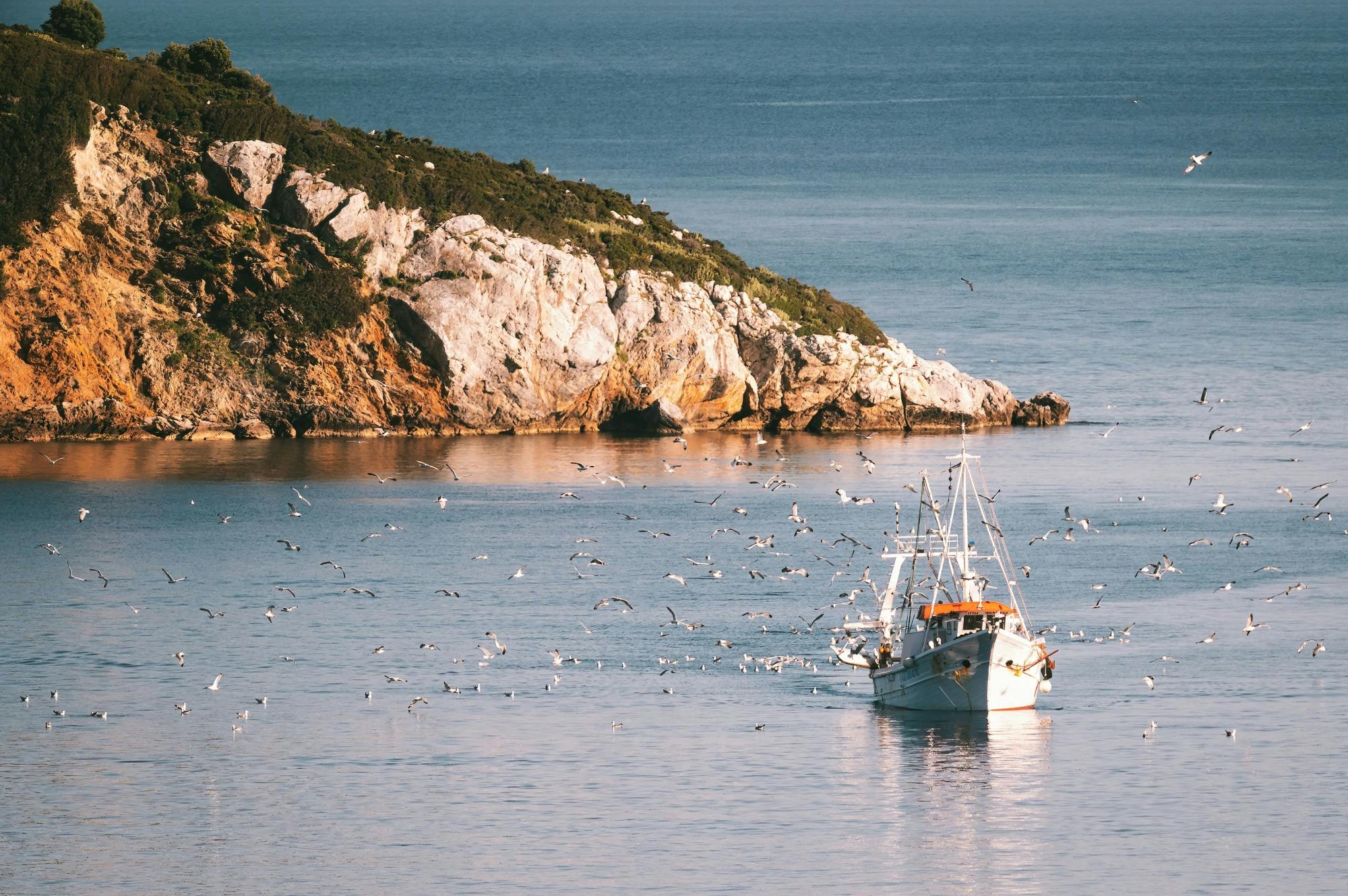 Full-day fishing tour in Skiathos with lunch