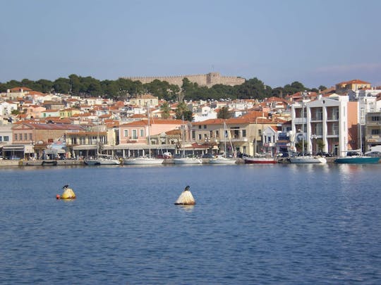 Degustação de azeite e aldeias de montanha de Lesbos