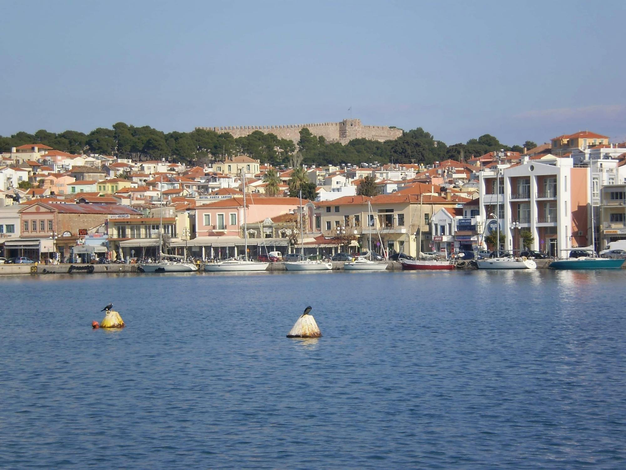 Les villages de montagne et l'huile d'olive à Lesbos - petit groupe 