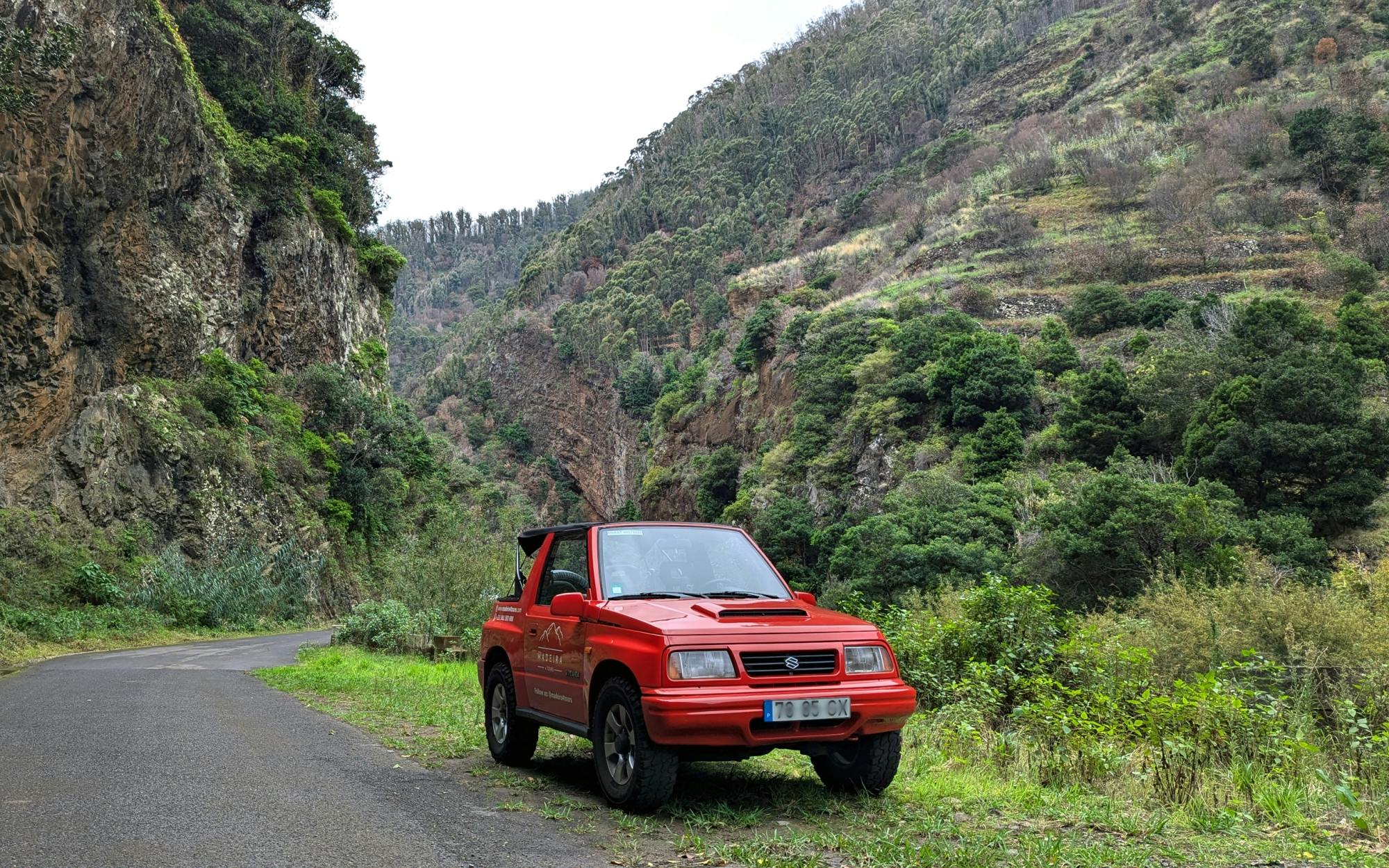 Madeira's North Side express private tour