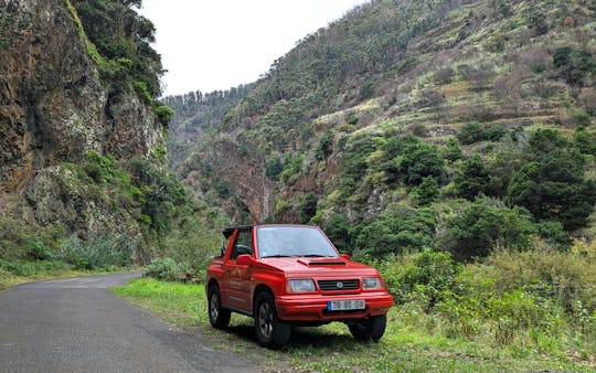 Madeira's North Side express private tour