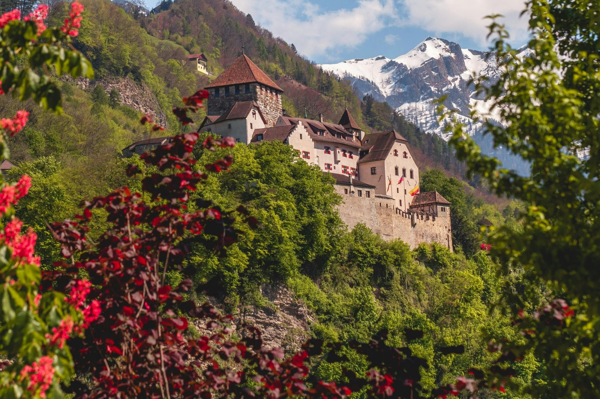 1-hour small group tour of Vaduz with a local