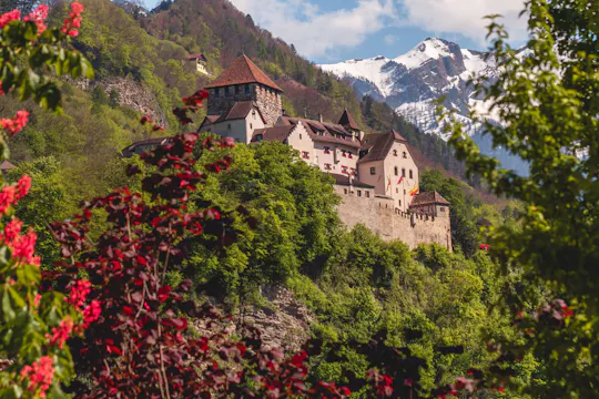 1-hour small group tour of Vaduz with a local