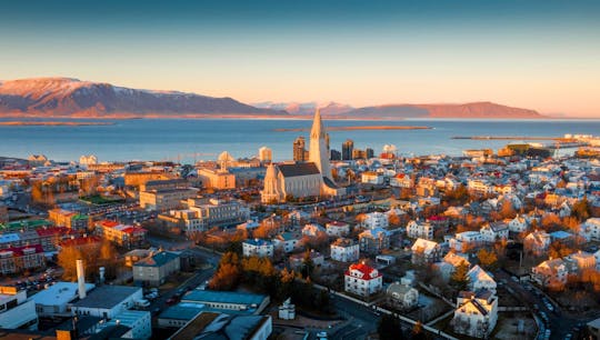 Visite à pied d'une heure de Reykjavik avec un local