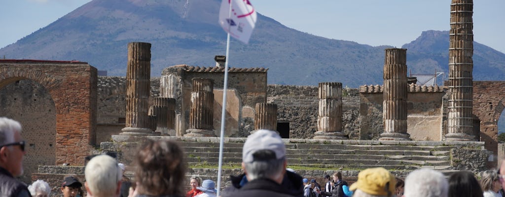 Pompeii Ruins and Sorrento day trip from Rome with hotel pick-up