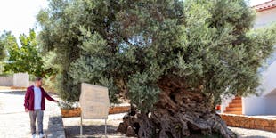 Ganztägige Weinverkostung und 4x4-Abenteuer auf Kreta