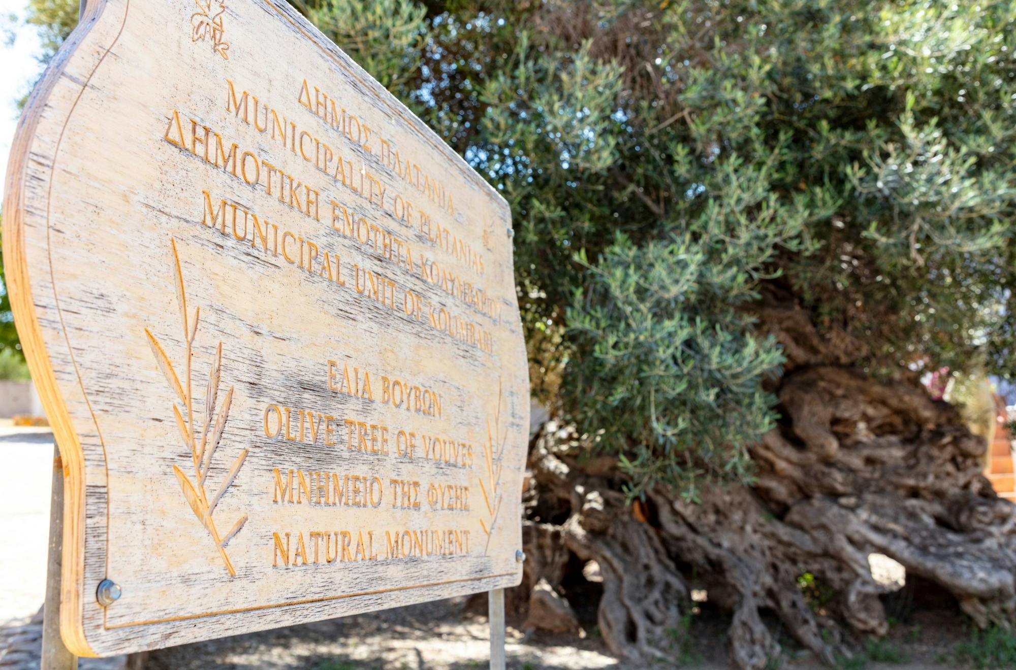 Full-Day Crete wine tasting and 4x4 off-road experience