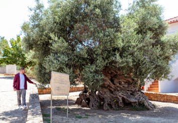 Dagtocht op Kreta met wijnproeverij en 4x4 tour