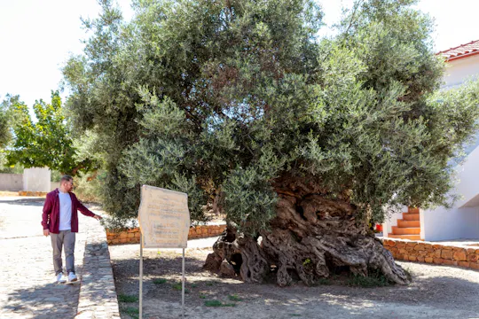 Degustação de vinhos de dia inteiro e aventura 4x4 em Creta
