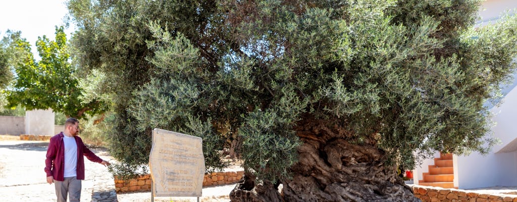 Full-day Crete wine-tasting and 4x4 off-road tour