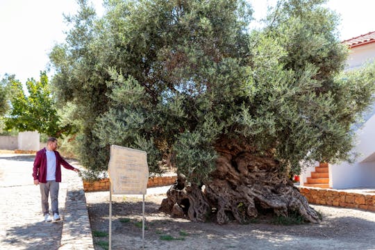 Degustação de vinhos de dia inteiro e aventura 4x4 em Creta