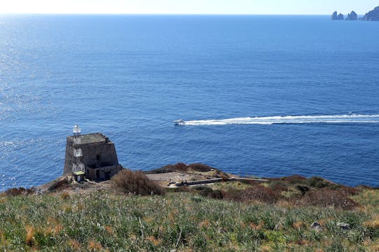 Full-day guided boat tour of Punta Campanella