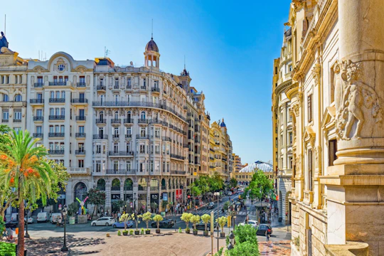 1-hour guided tour of Valencia with a  local
