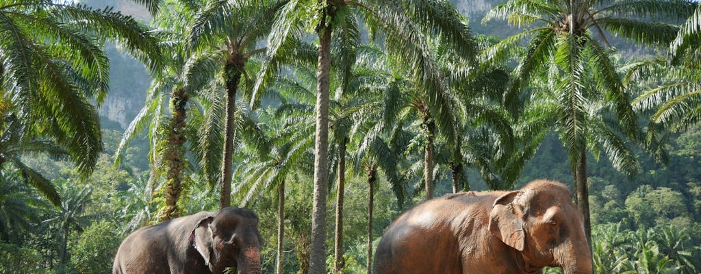 Halbtägige Highlights von Krabi