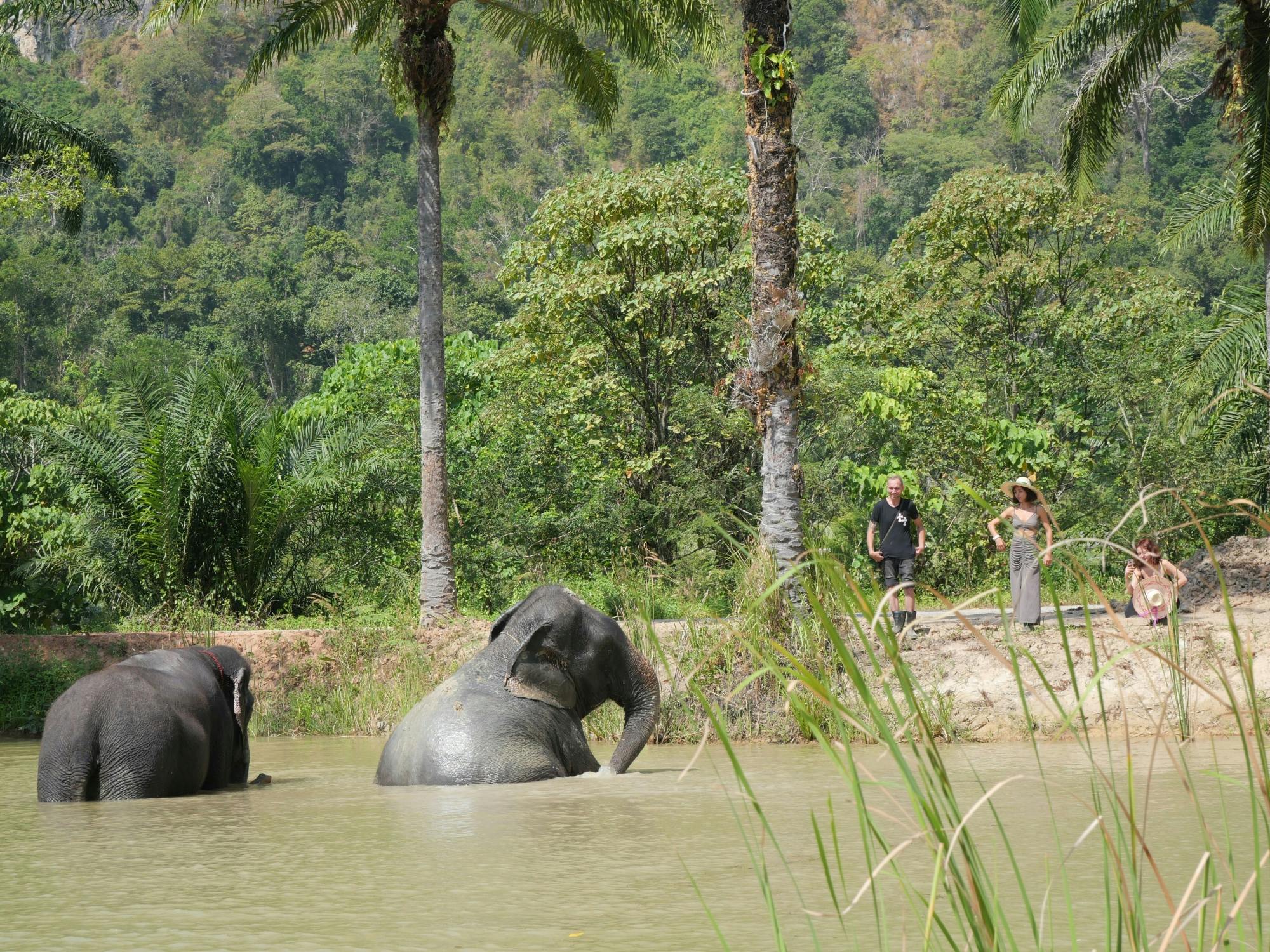 Half-day highlights from Krabi