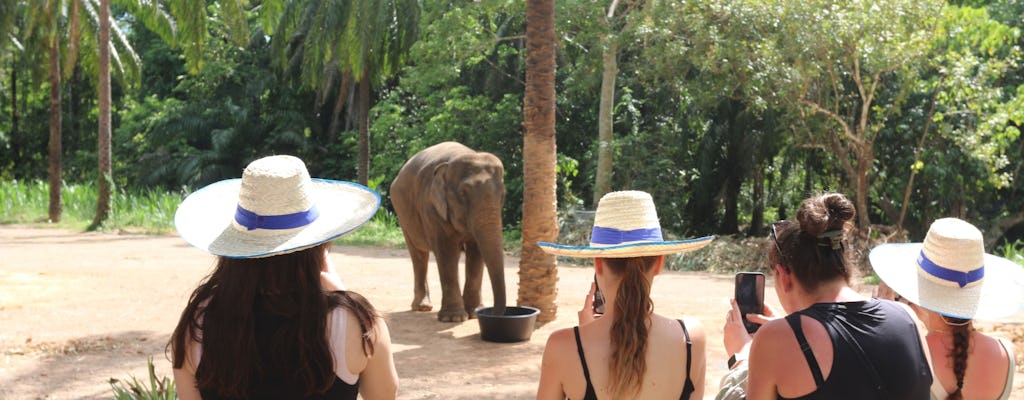 Half-day elephant sanctuary visit from Krabi