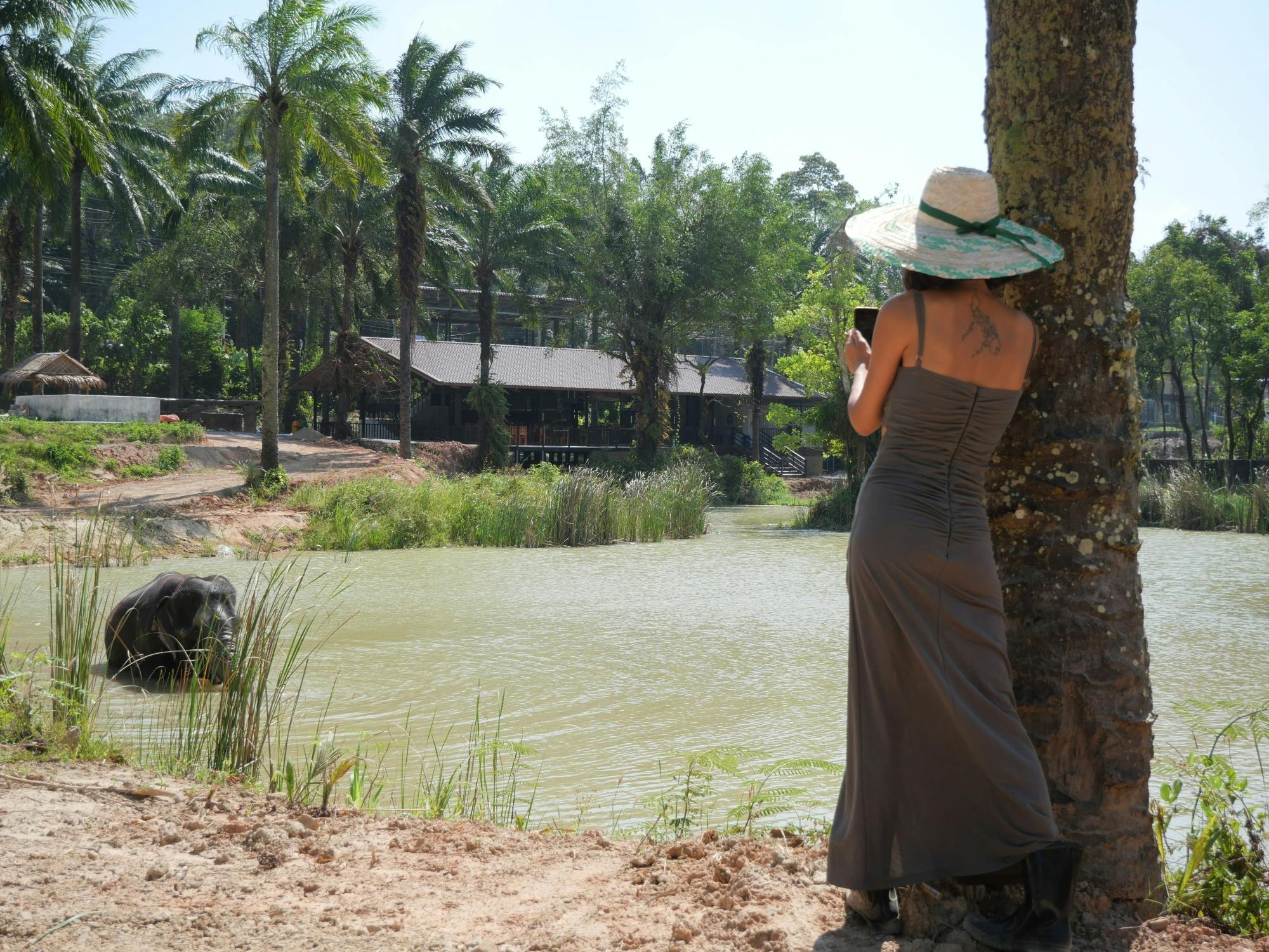 Half-day highlights from Krabi