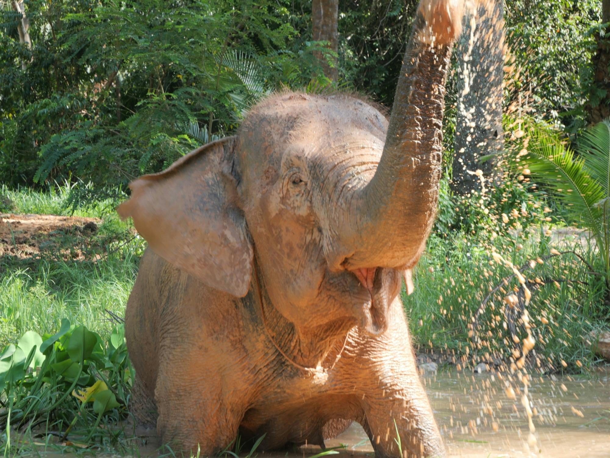 Half-day highlights from Krabi