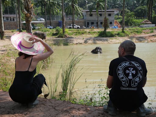 Half-day highlights from Krabi