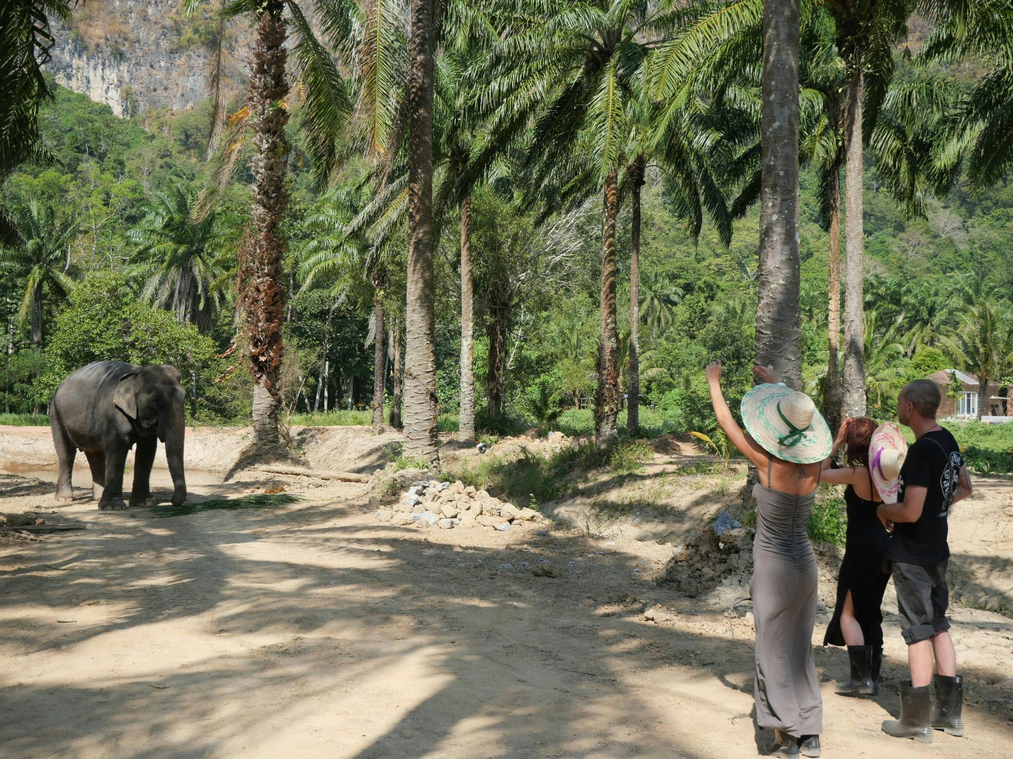 Half-day highlights from Krabi