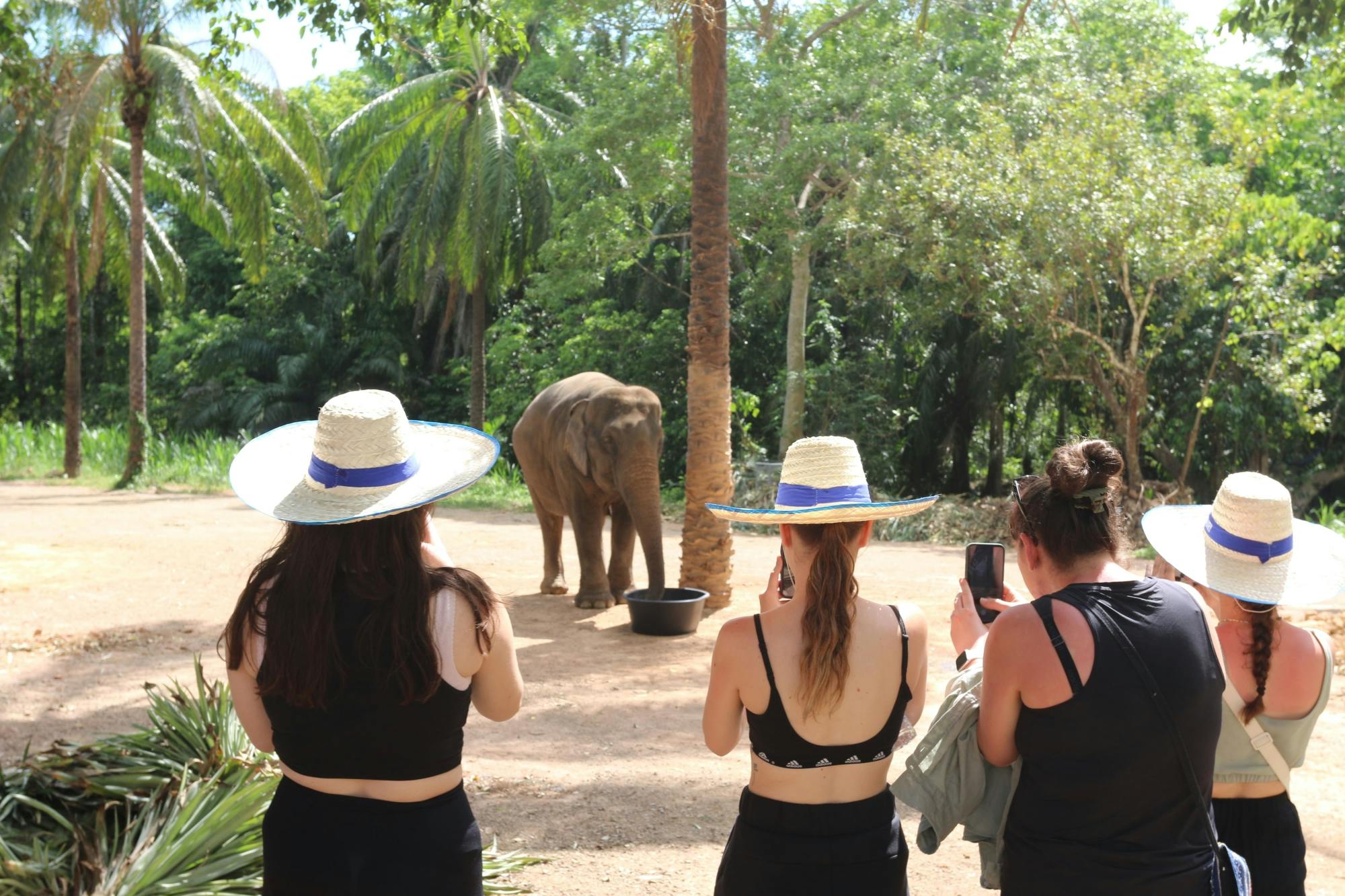 Halvdagsbesøg i elefantreservat fra Krabi