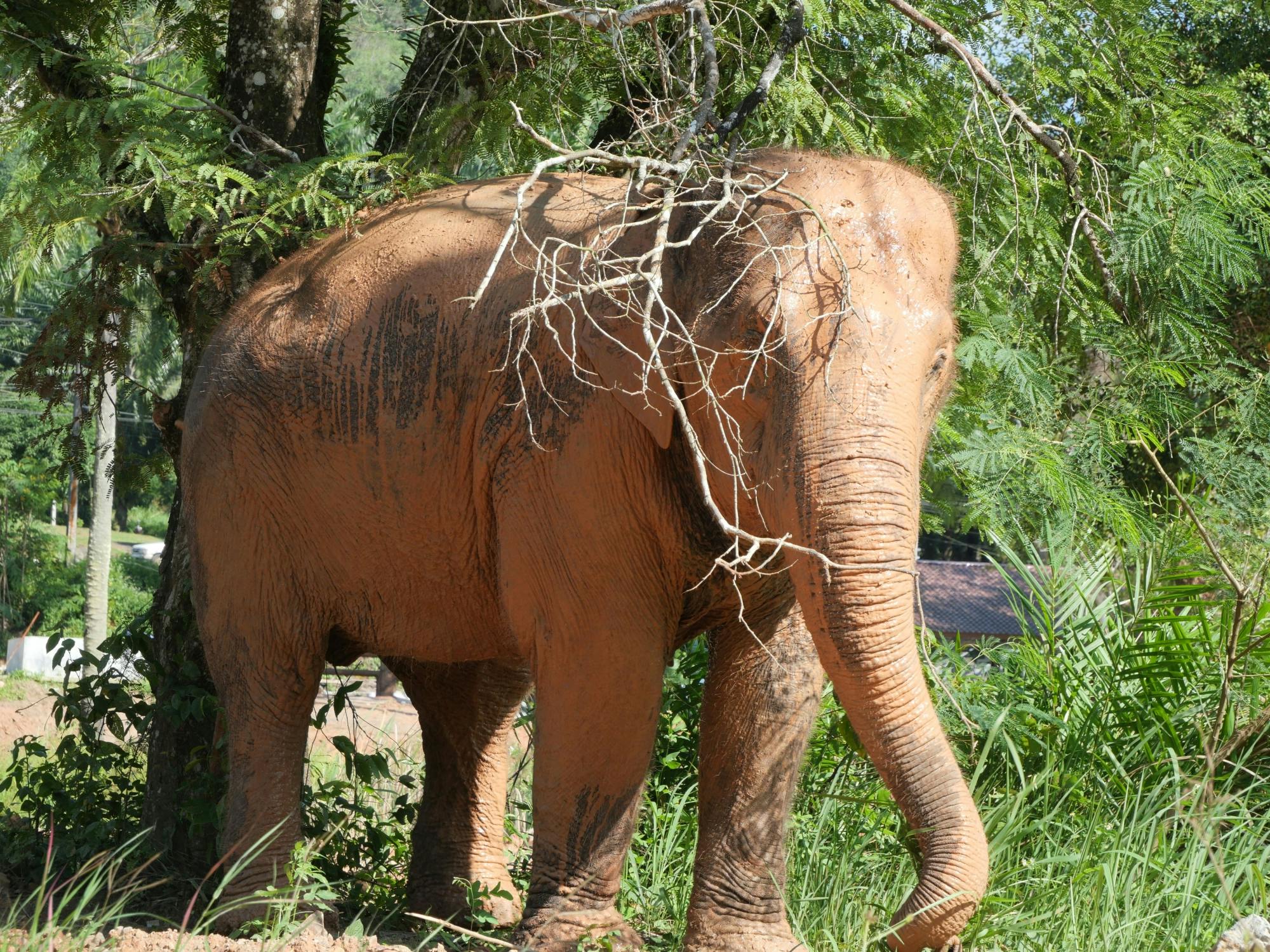 Half-day highlights from Krabi