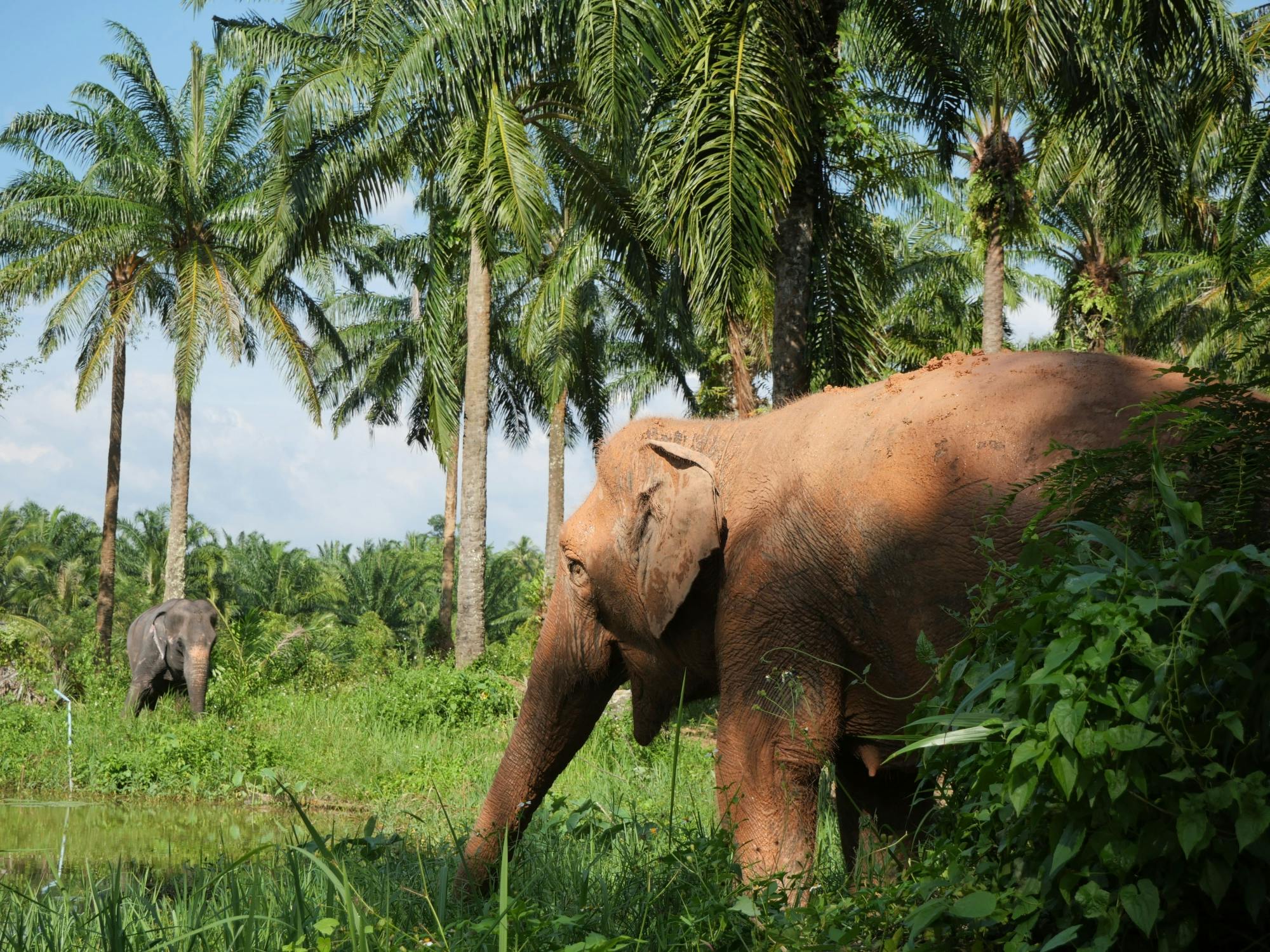 Half-day highlights from Krabi