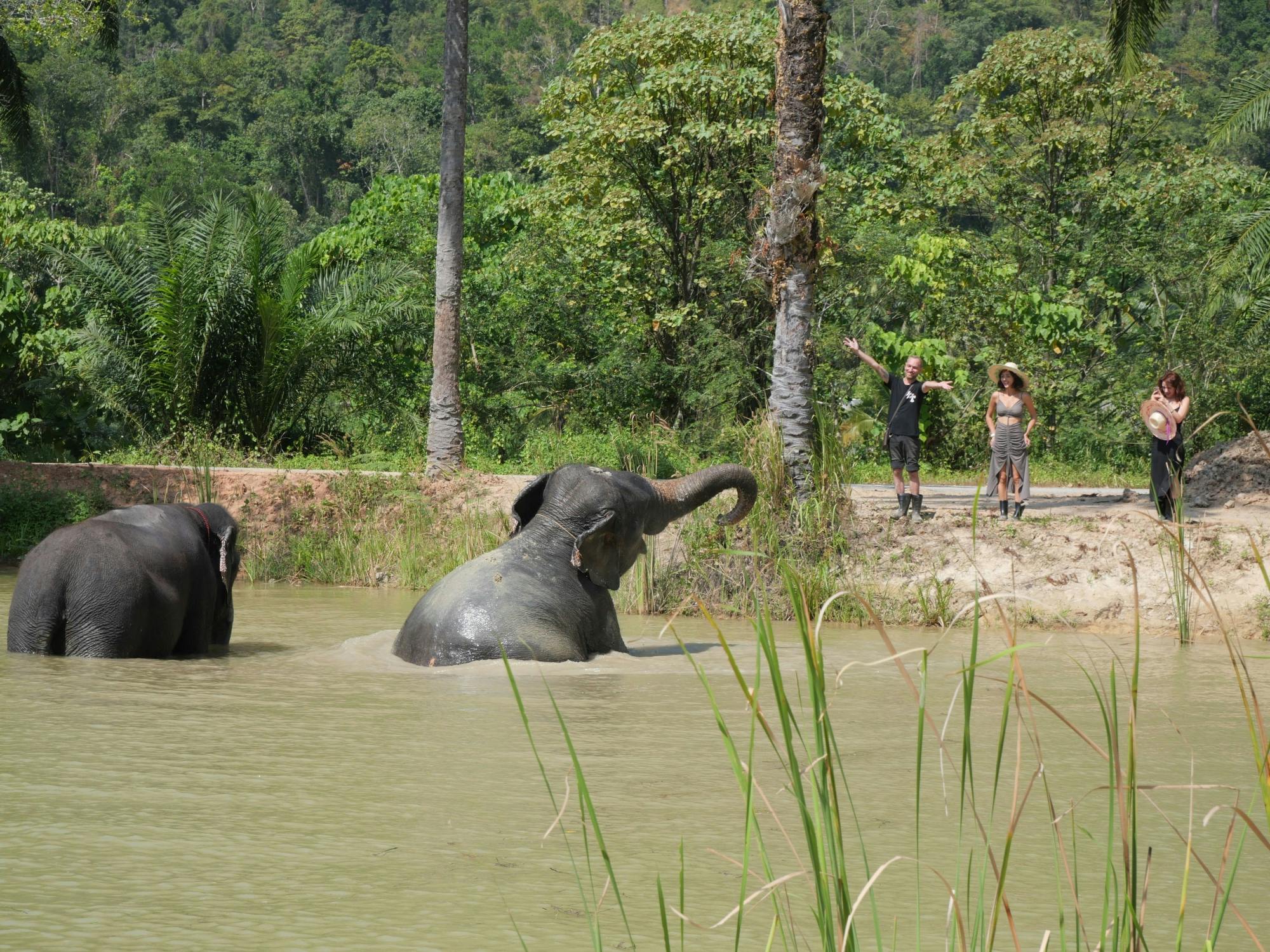 Half-day highlights from Krabi