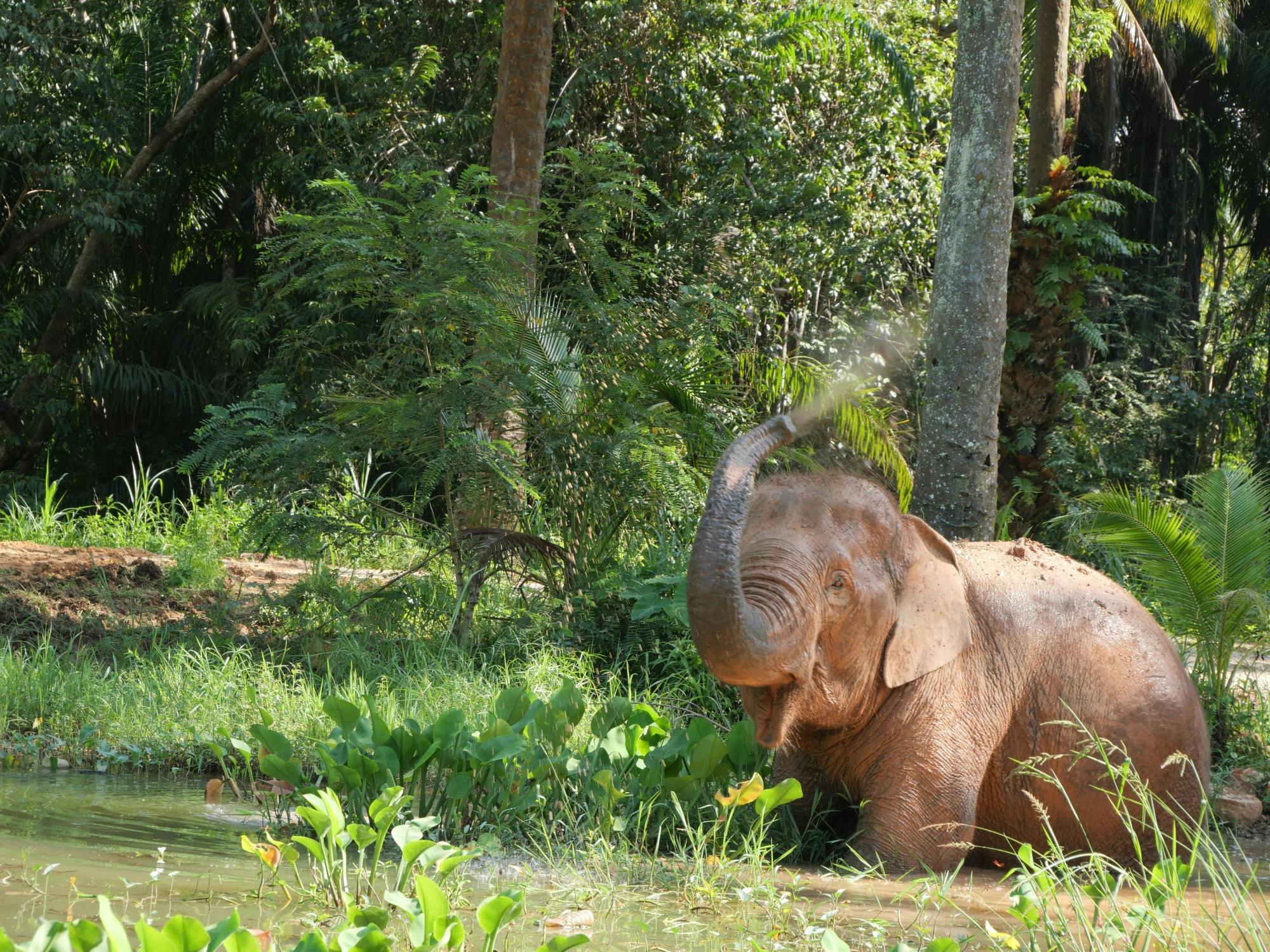 Half-day highlights from Krabi