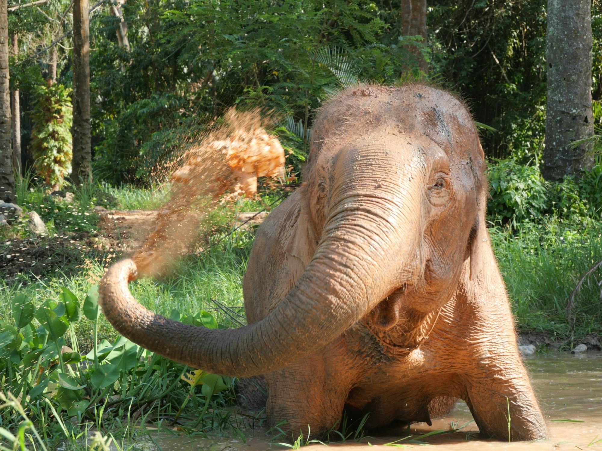 Half-day highlights from Krabi