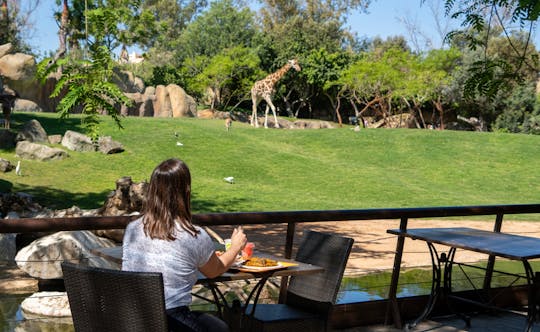 Entrance ticket to Bioparc Valencia