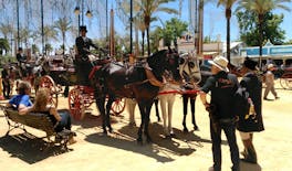 Feira de Jerez