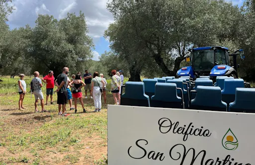 Full-day olive oil farm and Nicotera tour with Calabrian lunch