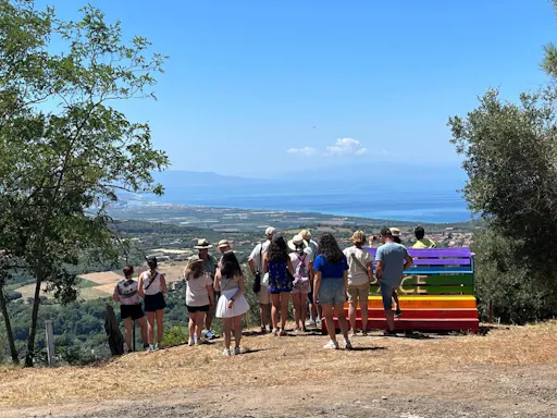 Full-day olive oil farm and Nicotera tour with Calabrian lunch