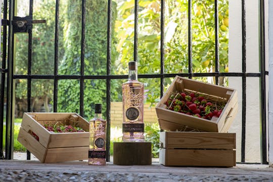 Destilería Puerto de Indias basic guided tour with gin tasting