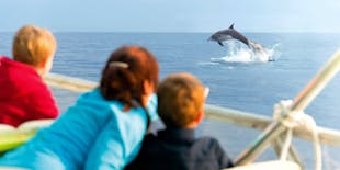 Alcudia Sunrise and Dolphins Cruise by Brisas