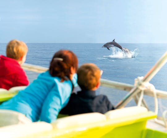 Alcudia Sunrise and Dolphins Cruise by Brisas