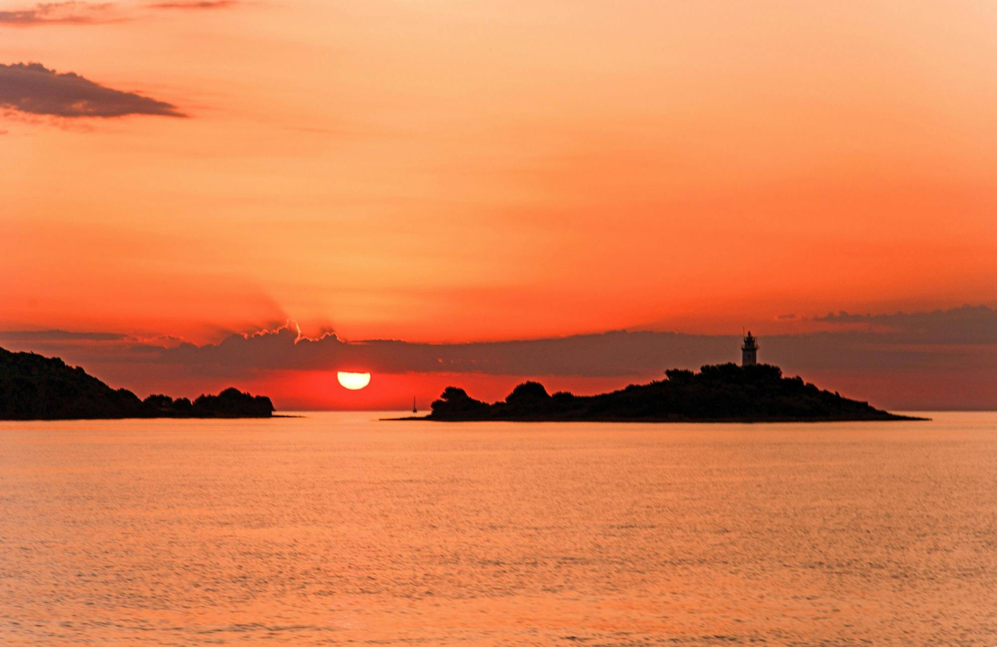 Alcudia Sunrise and Dolphins Cruise by Brisas