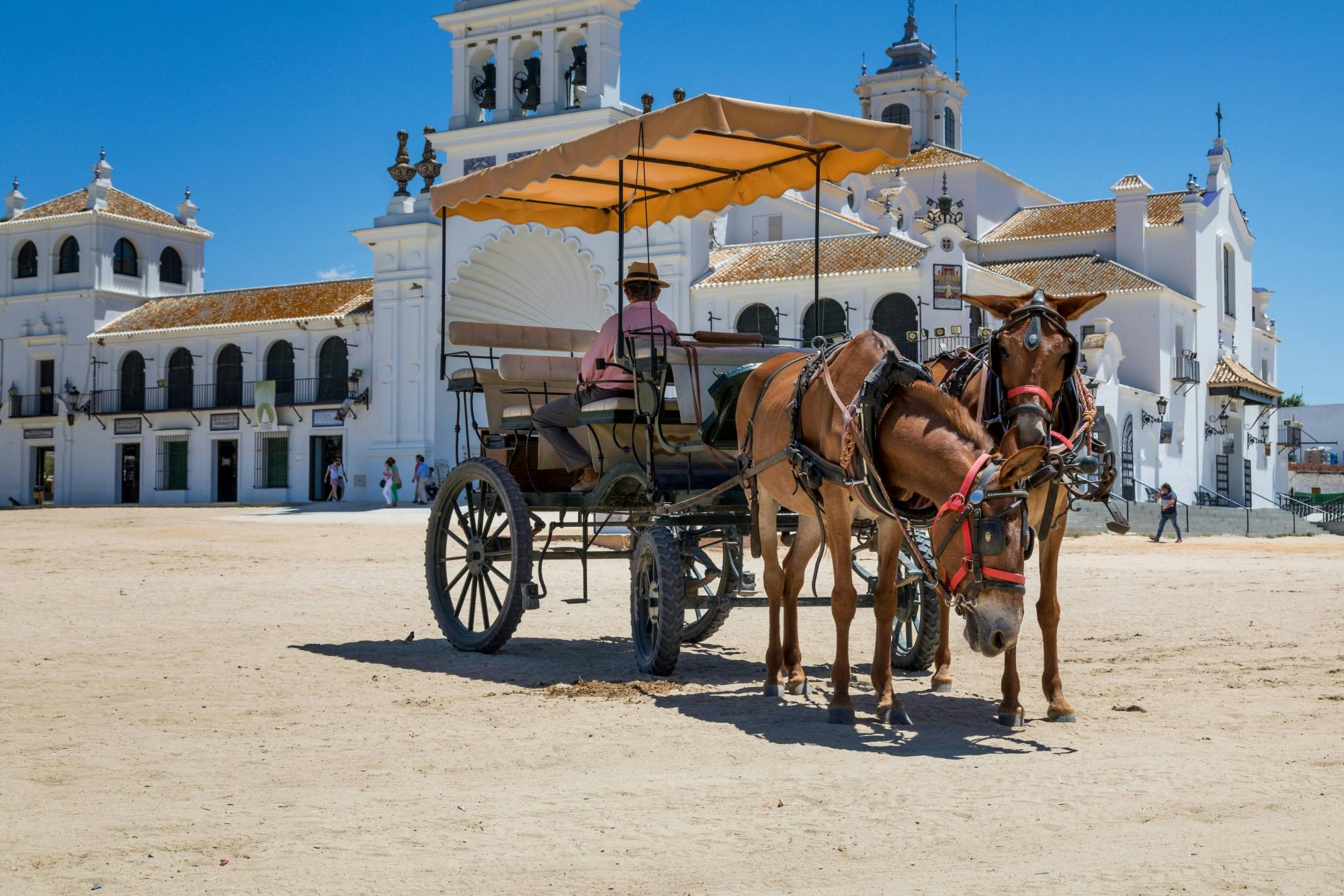 El Rocío Pilgrimage