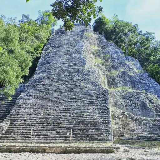 Swimming with turtles and Coba archaeological site tour