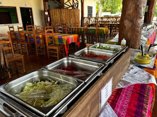 Swimming with turtles and Coba archaeological site tour