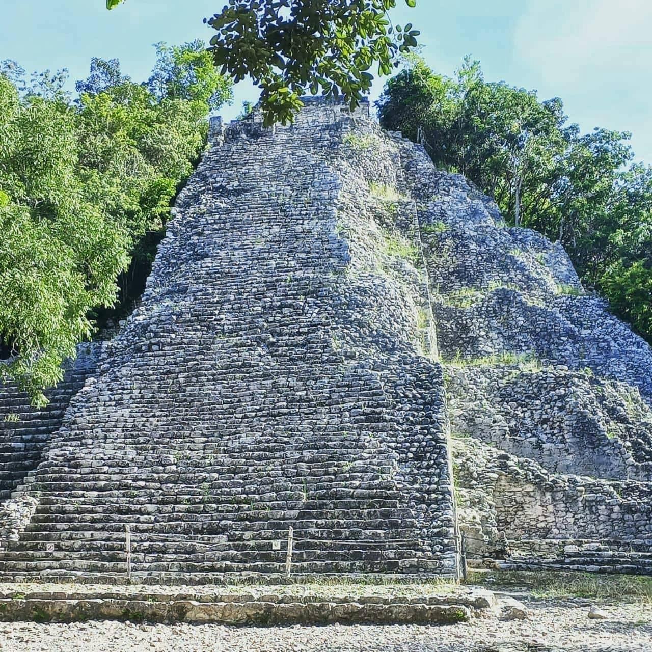 Swimming with turtles and Coba archaeological site tour