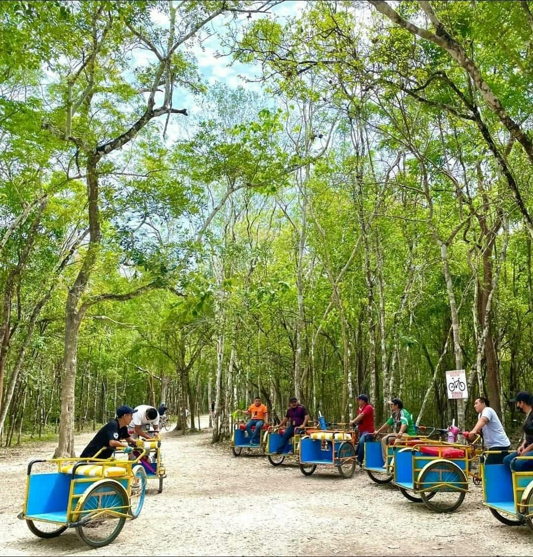 Swimming with turtles and Coba archaeological site tour
