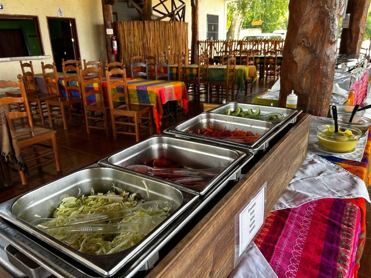 Swimming with turtles and Coba archaeological site tour