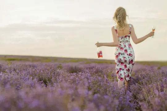 Passeio autoguiado por campo de lavanda com garrafa de Rosé