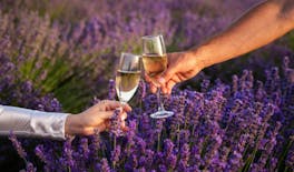 Visite autoguidée du champ de lavande avec bouteille de champagne