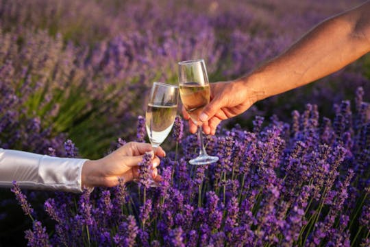 Visite autoguidée du champ de lavande avec bouteille de champagne