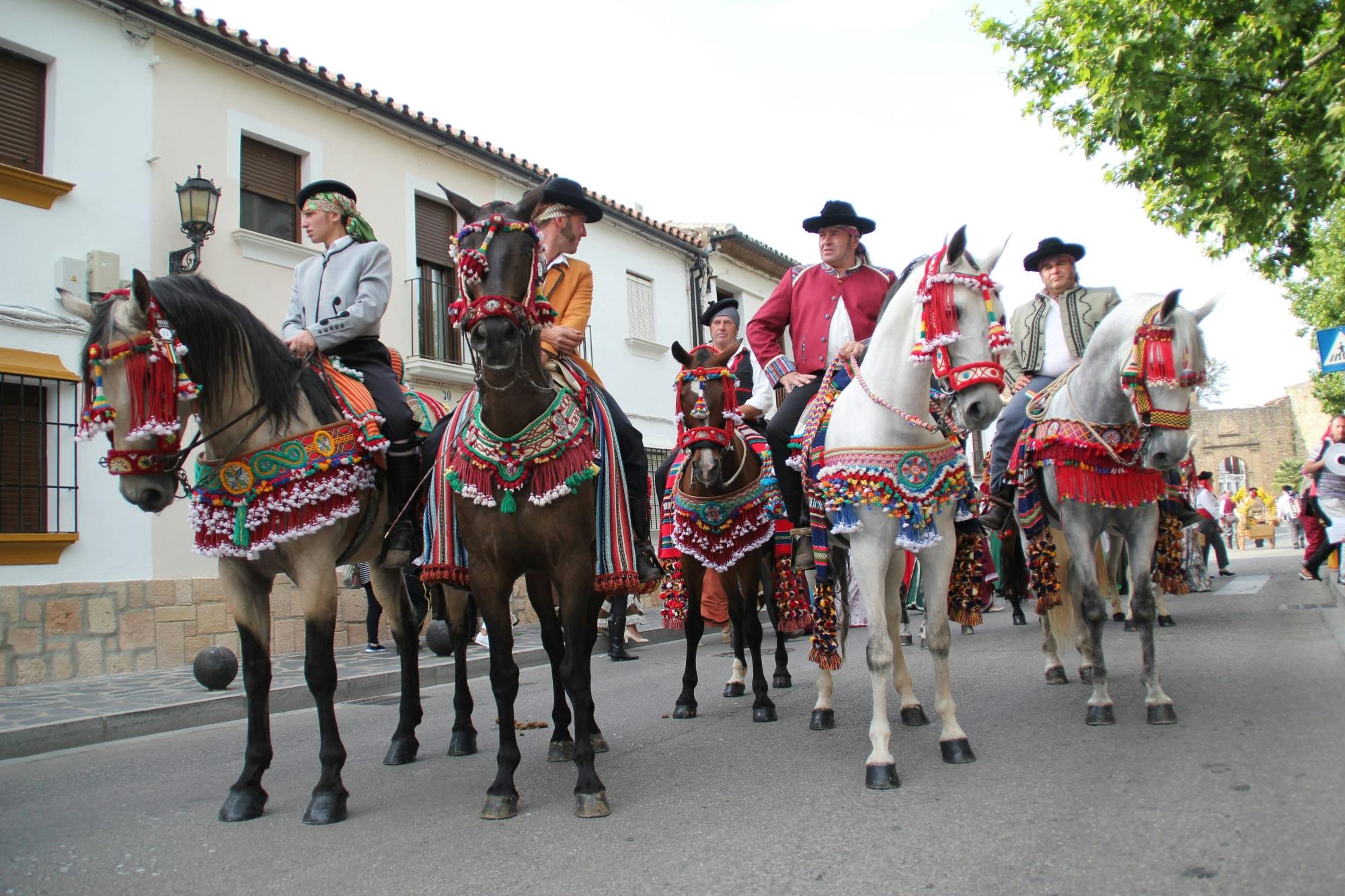Ronda Romantica Festival and Setenil de las Bodegas Visit