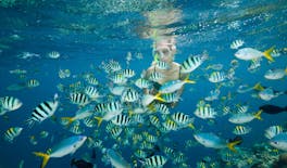 Nat Geo Day Tour: Scopri l'importanza del ripristino della barriera corallina di Cancun