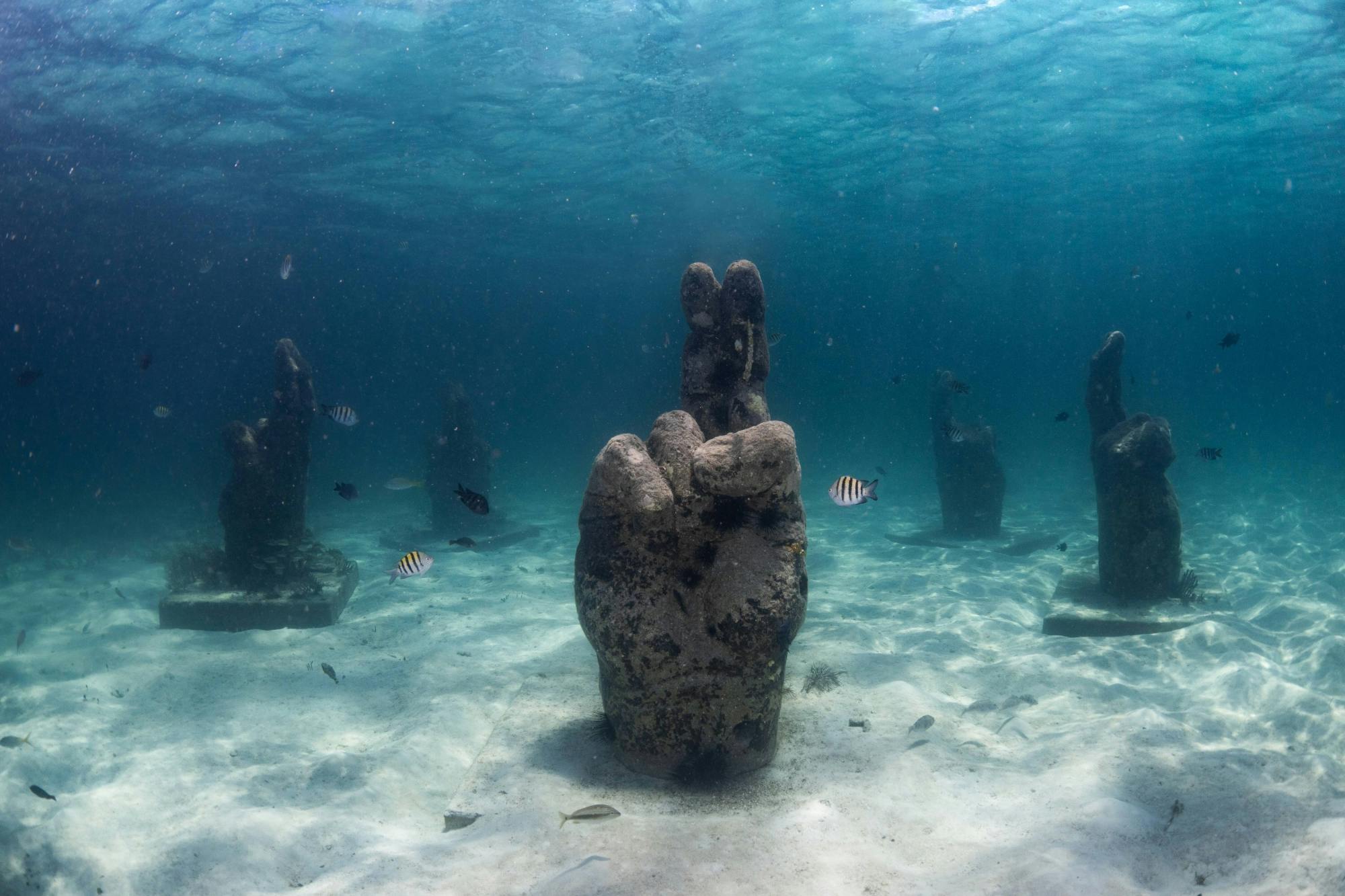 Nat Geo Day Tour: Unveiling the Importance of Cancun’s Reef Restoration